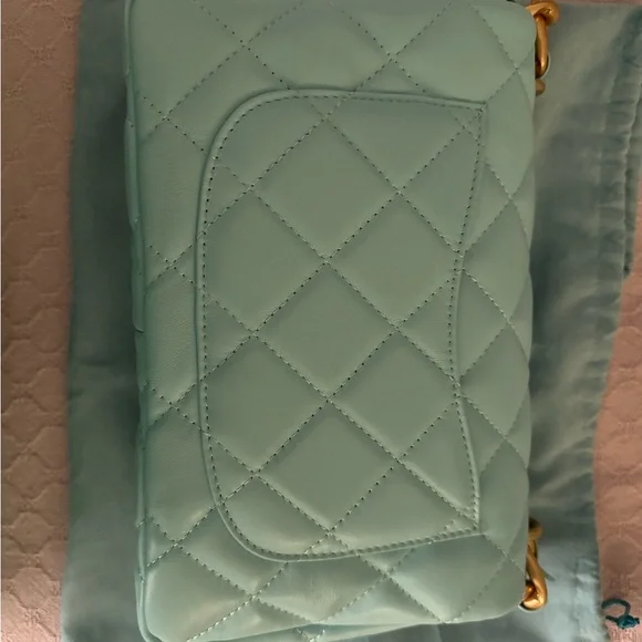 Tiffany & Fred Baby Blue Chain shoulder bag - Picture 4 of 7